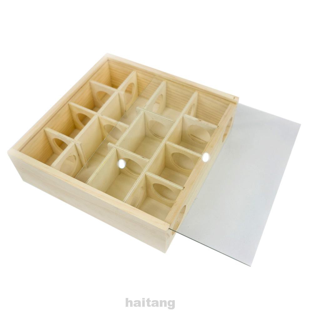 Training Square Pet Supplies Non Toxic Mice With Plexiglass Cover Sport