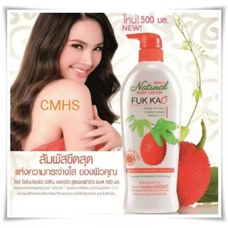 ( ยกลัง ขวดละ 58บาท ) โลชั่นมิสทีน ปั้ม 500ml X 1 ขวด มิสทีน mistine lotion ฟักข้าว เมลอน มะหาด บังแกเรียโยเก