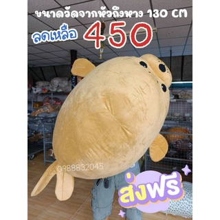 ตุ๊กตาแมวน้ำยักษ์(ขนาด130CM.)