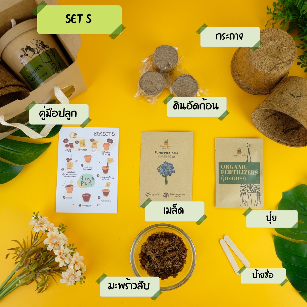 ชุดปลูกดอกไม้ ชุดของขวัญ ชุดพร้อมปลูกดอกดาวเรืองทอง - รูปที่ 3