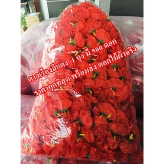 ดอกดาวเรือง หัวดอกดาวเรืองสีแดง 1ถุง500ดอก ได้จุใจราคาถูก ดาวเรืองราคาถูกสีแดง