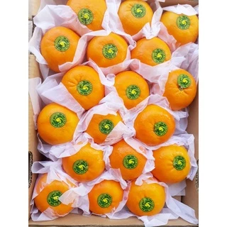 ส้มนกแก้ว🍊🍊🍊ฤดูกาลใหม่ SIZE M,L,XL = 1 Kg ราคาดี. เกรดพรีเมี่ยม