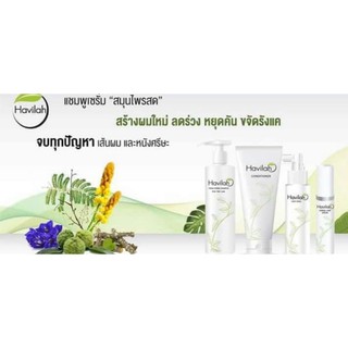 รวม havilah ฮาวิล่าห์ แชมพู ครีมนวด ครีมนวดผม แฮร์โทนิค เซรั่ม shampoo conditioner serum hair tonic multiessential oil