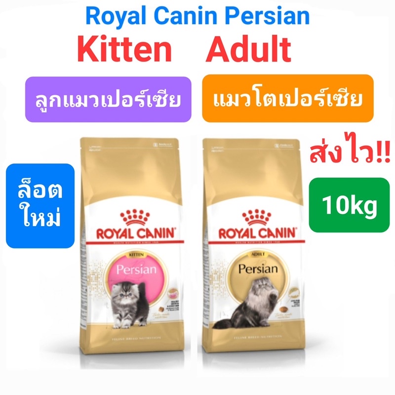 Royal Canin Persian Adult 10kg / Royal Canin Kitten Persian 10kg โรยัล คานิน อาหารแมวโต ลูกแมว เปอร์เซีย 10 กก.