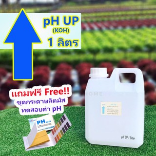 pH​ Up น้ำยาเพิ่มค่าพีเอช​ 1ลิตร (โพแทสเซียมไฮดรอกไซด์ KOH) แถมฟรีกระดาษลิตมัสวัดค่า pH 1เล่ม