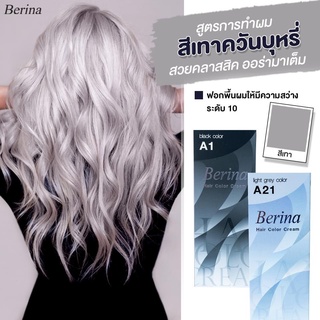 Berina เซตสีผมเบอริน่า Berina A21=3+A1 สีเทาควันบุหรี่ สีผมเบอริน่า สีย้อมผม ครีมย้อมผม