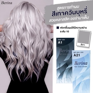 Berina เซตสีผมเบอริน่า Berina A21=3+A1 สีเทาควันบุหรี่ สีผมเบอริน่า สีย้อมผม ครีมย้อมผม