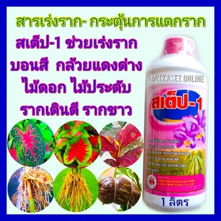 สารเร่งราก น้ำยาเร่งราก บี 1 บอนสี บอนประดับ ไม้ดอก ไม้ประดับ กล้วยด่างแดงอินโด ขนาด 1 ลิตร กระตุ้นการเกิดราก การแตกราก