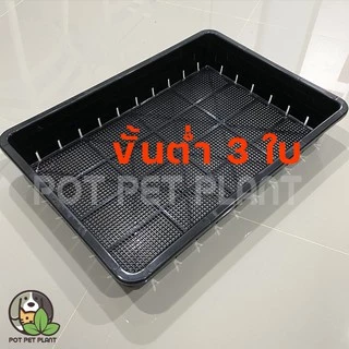 [ขั้นต่ำ2ใบ] ถาดเพาะต้นอ่อน ถาดไดโซะ ปลูกแคคตัส (แบบโปร่ง) - 0256