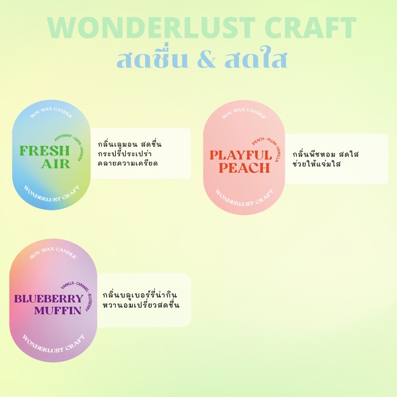 Soy wax melts wax tarts เทียนละลาย มีให้เลือก 15 กลิ่น Wonderlust Craft - รูปที่ 7