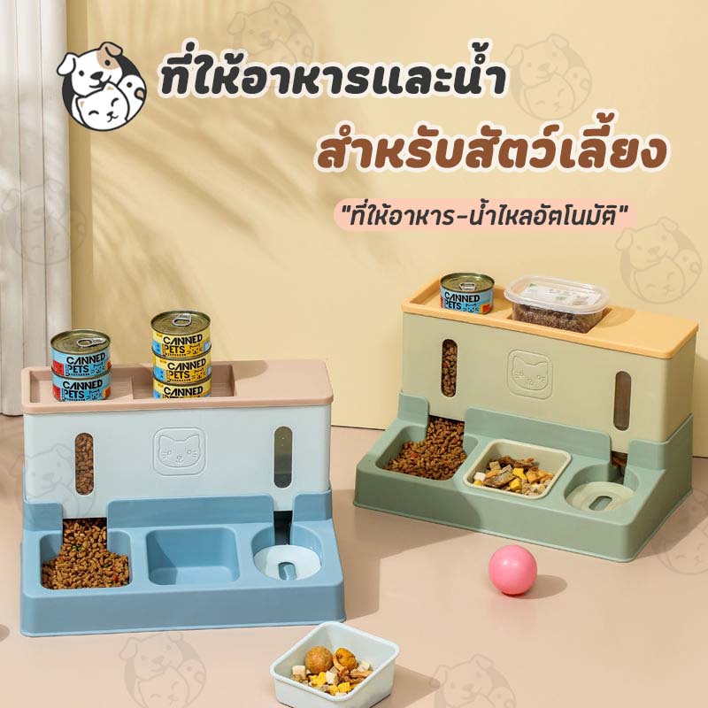 ที่ให้อาหารสัตว์เลี้ยง ที่ให้น้ำสัตว์เลี้ยง ที่ให้อาหารน้ำอัตโนมัติ ชามอาหารแมว ถ้วยอาหารแมว WD