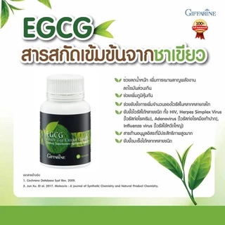 สารสกัดชาเขียวลดน้ำหนัก ควบคุมน้ำหนัก อีจีซีจี กิฟฟารีน | EGCG GIFFARINE