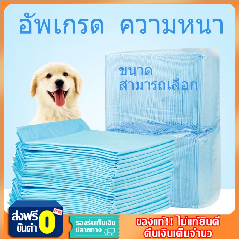 แผ่นรองฉี่สุนัข แผ่นรองฉี่สนุข ช่วยฝึกขับถ่าย  ระงับกลิ่น ซึมซับไดีดี แผ่นรองฉี่สุนัขและแมว สัตว์เลี้ยง แผ่นรองฉี่