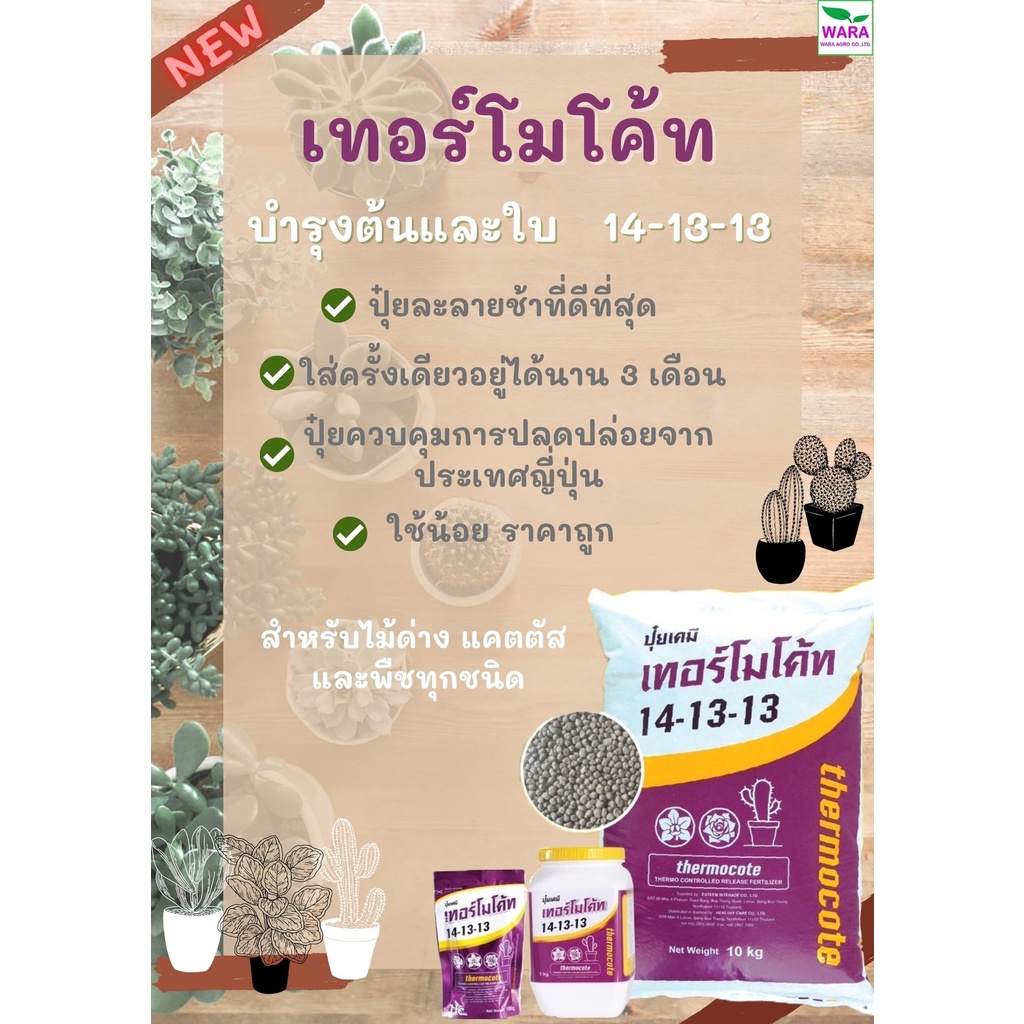 ปุ๋ยละลายช้า เทอร์โมโค้ท 14-13-13 บำรุงต้นใบ ราก ดอก ผล เติบโตดี สำหรับไม้ด่าง แคตตัส กล้วยไม้ และพืชทุกชนิด