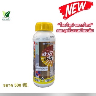 ฮาชิ ฮาชิ  ขนาด 500 ซีซี. (ฉลากใหม่) โทลเฟนไพแรด 16% EC. กำจัดหนอนใยผัก ด้วงหมัดผัก เพลี้ยไก่แจ้ส้ม เพลี้ยไฟพริก