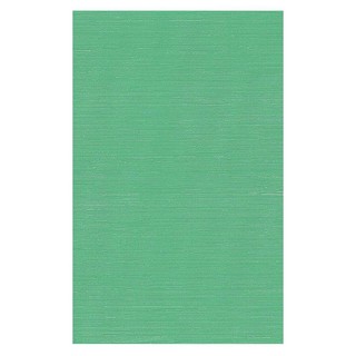 กระเบื้องผนัง 25X40 ซม. โอเชี่ยน กรีน WALL TILE 25X40CM OCEAN GREEN 1M2 SINGLE WALL/2 กระเบื้องเซรามิกปูผนัง รุ่น โอเชี