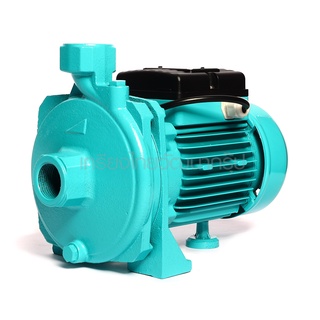 HECTO (เฮกโต้) HCM22 ปั๊มหอยโข่ง 0.5HP 1"  (H211-HCM22)