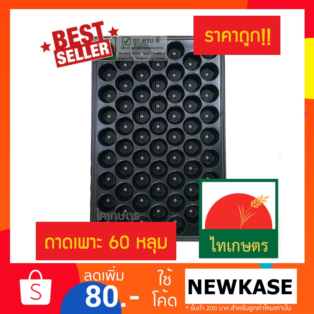ถาดเพาะกล้า ใช้เพาะเมล็ด เพาะชำต้นไม้ 60 หลุม ตราไทเกษตร