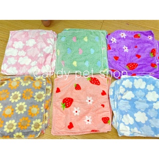ผ้านุ่มสัตว์เลี้ยง ลายเข้าใหม่ ❤️ชูก้า กระรอก แฮมเตอร์🌸💕สั่งขั้นต่ำ 20฿
