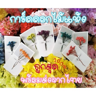 การ์ดดอกไม้แห้ง Flower Card การ์ดอวยพรดอกไม้แห้ง (สินค้าพร้อมส่ง) การ์ดอวยพร Handmade การ์ดปัจฉิม การ์ดวันจบ