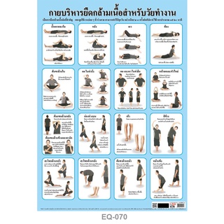 โปสเตอร์กระดาษ กายบริหาร #EQ-070 โปสเตอร์กระดาษ โปสเตอร์สื่อการเรียนการสอน