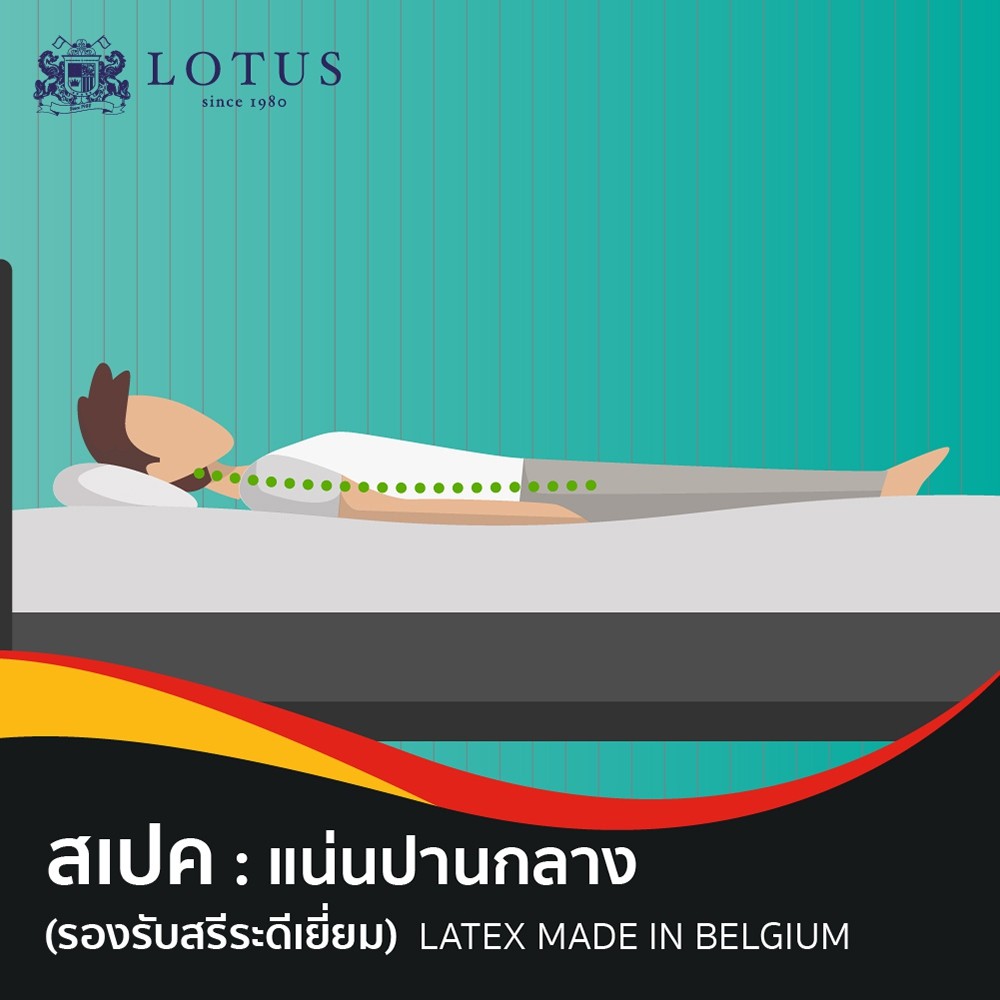 Lotus ที่นอนยางพารา 100% หนา 3 นิ้ว รุ่น Topaz ~Latex Made In Belgium ส่งฟรี #6