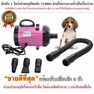 ไดร์ไล่น้ำหมา ไดร์เป่าขนสุนัข ไดร์เป่าขน 2800W รุ่นใหม่ ไดร์ขนสุนัข ไดร์เป่าขนแมว เครื่องเป่าขน ไดร์ไล่น้ำ