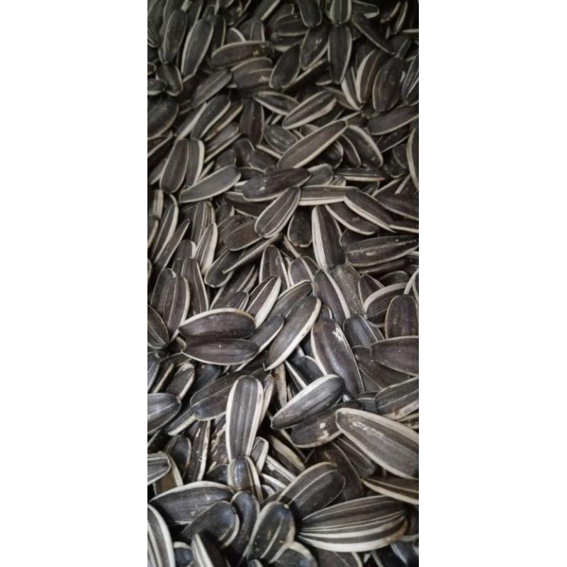 ทานตะวันนก เอป้อม 500 กรัม - รูปที่ 3