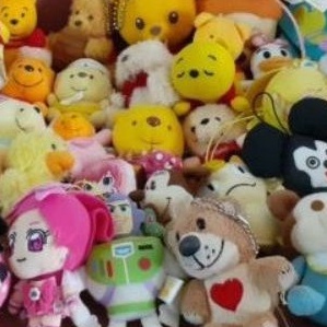 สินค้า live สด สำหรับลูกค้ารับใน live