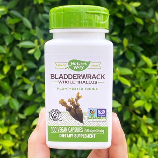 สารสกัดจากสาหร่ายทะเล Bladderwrack 580 mg 100 Vegan Capsules (Natures Way®)