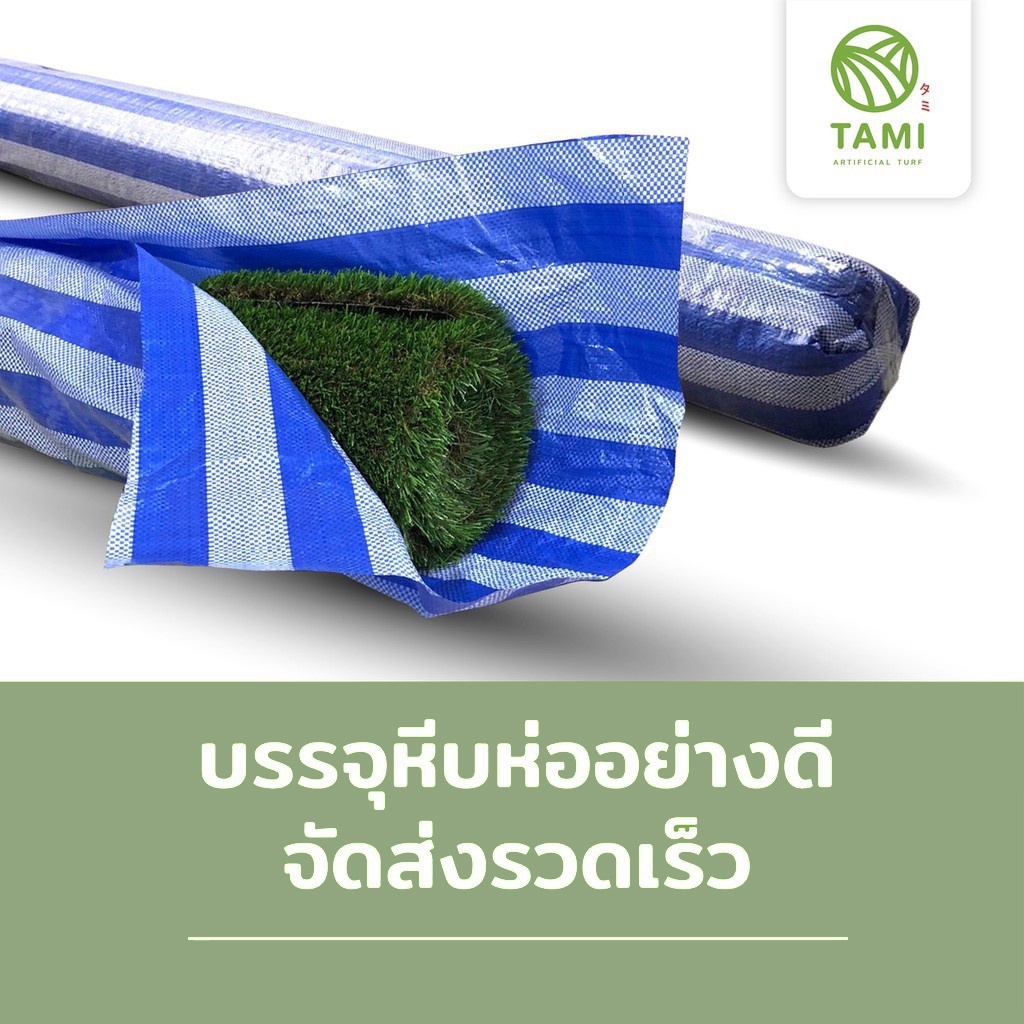 หญ้าเทียม ทามิสูง2ซม.เขียวแซมน้ำตาล กว้าง1,2เมตร ยาวเริ่มต้น1ม.(ตรม.ละ240บาท) หญ้าปลอม แบ่งขายเป็นเมตร ถูกๆ ปูพื้น Tami - รูปที่ 6