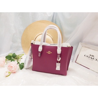 MOLLIE TOTE 25 (COACH C4084)