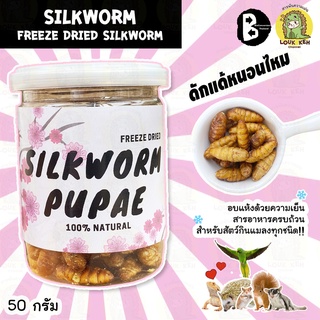 ดักแด้หนอนไหมอบกระป๋อง SILKWORM PUPAE FREEZE DRIED