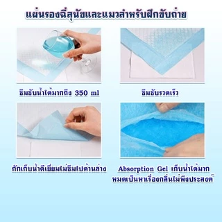 【พร้อมส่ง】 แผ่นรองฉี่สุนัข ซึมซับไดีดี ต่อต้านแบคทีเรีย แผ่นรองฉี่ ผ้ารองฉี่สุนัข แผ่นรองฉี่แมว แผ่นรองซับ ทรายแมวCOD