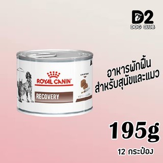 Royal Canin Recovery อาหารสำหรับสุนัขและแมว ป่วยพักฟื้น อาหารสัตว์ป่วย 195g x 12 กระป๋อง07717