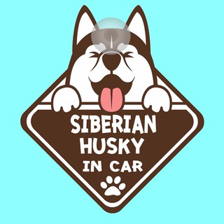 ป้ายติดรถยนต์ DIC44 จุ๊บติดกระจก DOG IN CAR ❤ Siberian Husky ❤ ป้ายติดกระจก ป้าย สติ๊กเกอร์