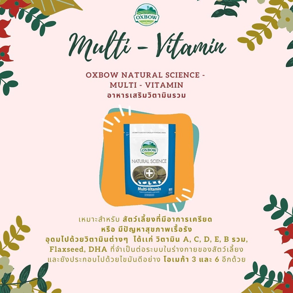 ร้านโทโมะ 💕 คุกกี้ วิตามิน Oxbow คุกกี้วิตามินรวม สำหรับสัตว์ฟันแทะ กระต่าย แกสบี้ ชินชิลล่า หนู แพรี่ด๊อก ขนมกระต่าย - รูปที่ 6