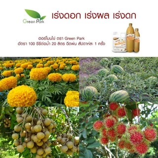 ฮอร์โมนไข่ ขนาด 1 ลิตร ตรา green park สูตรเข้มข้น แช่เมล็ด เร่งราก แตกตา ดอก ผล ดก ต้านทานโรค เพิ่มผลผลิต เพิ่มความหวาน