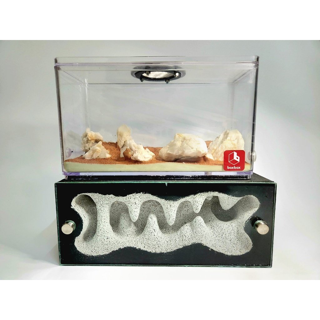 Handcrafted The Jumbo Crystal Cave Formicarium - Ant Farm Ant Cages Ant Nest Ant Formicarium The Ant