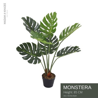 Mons tera tree ต้นมอนสเตร่า  ขนาดสูง 85 CM ต้นไม้ปลอมเกรดพรีเมี่ยม มาดามขจี  Premium Artificial Plant