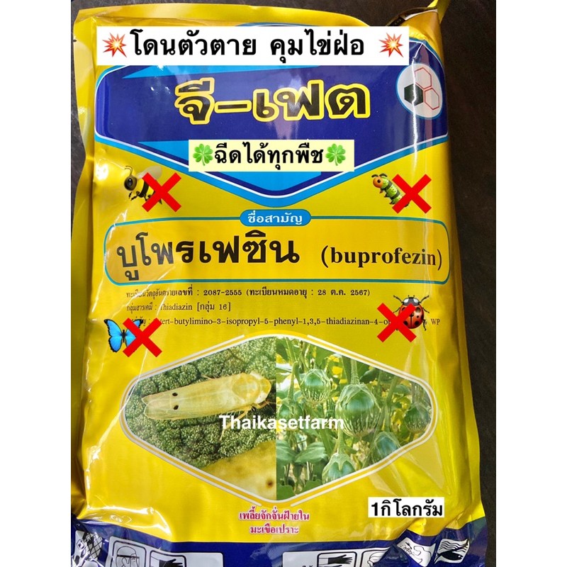 จีเฟต1กิโลกรัมคุมไข่เพลี้ยหนอนแมลง สูตรเย็น ใหม่ล่าสุด