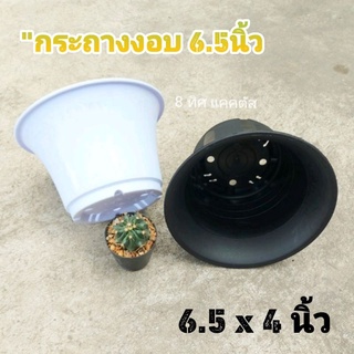 กระถาง ทรงงอบ 7 นิ้ว // กด 12 ชิ้น 350 บาท -- กระถางพลาสติก กระถางแคคตัส กระบองเพชร