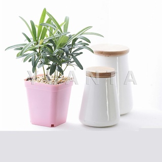 YUANTA กระถางต้นไม้พลาสติก พร้อมถาดรอง กระถางขนาดเล็ก กระถางต้นไม้ดินเผา Plastic flowerpot