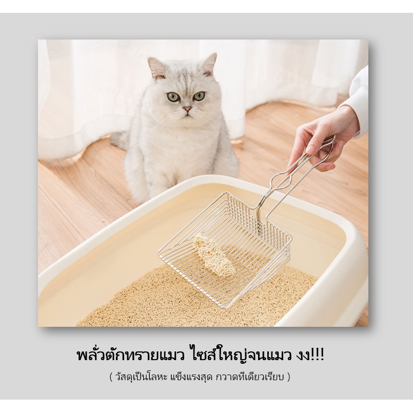 [ABC cat] [ C010 ] ที่ตักทรายแมว **โปรดอ่านก่อนสั่งซื้อนะคะ** พลั่วตักทรายแมว  พลั่วตักทราย