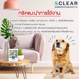 ไล่หมา ไล่หมาจร แบบยุคใหม่ ไล่สุนัข ไล่หมาขับถ่าย ผงไล่หมา ก้อนไล่หมา ที่ไล่หมา แบบไม่ทำร้ายสัตว์