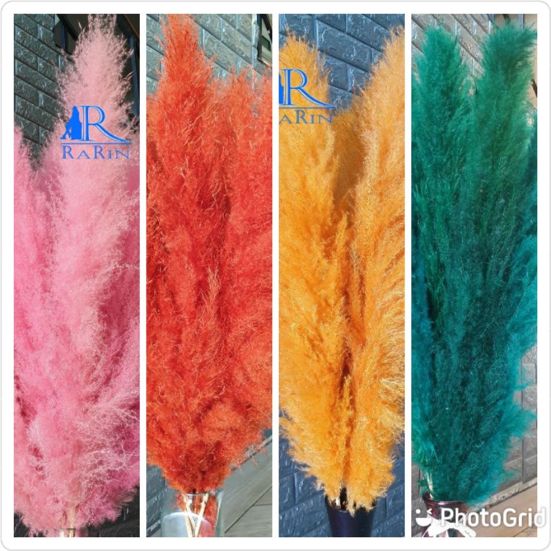 Rarin ดอกเลา ย้อมสี(หลากสี) 1ก้าน ‼️พร้อมส่ง‼️ขนาด 90-100 cm.ดอกรวมก้าน ดอกไม้ธรรมชาติ ดอกฟุ้งฟิ้ง ราคา ถูกที่สุด ดีลบีเคเค แกลเลอรีภาพที่ 9