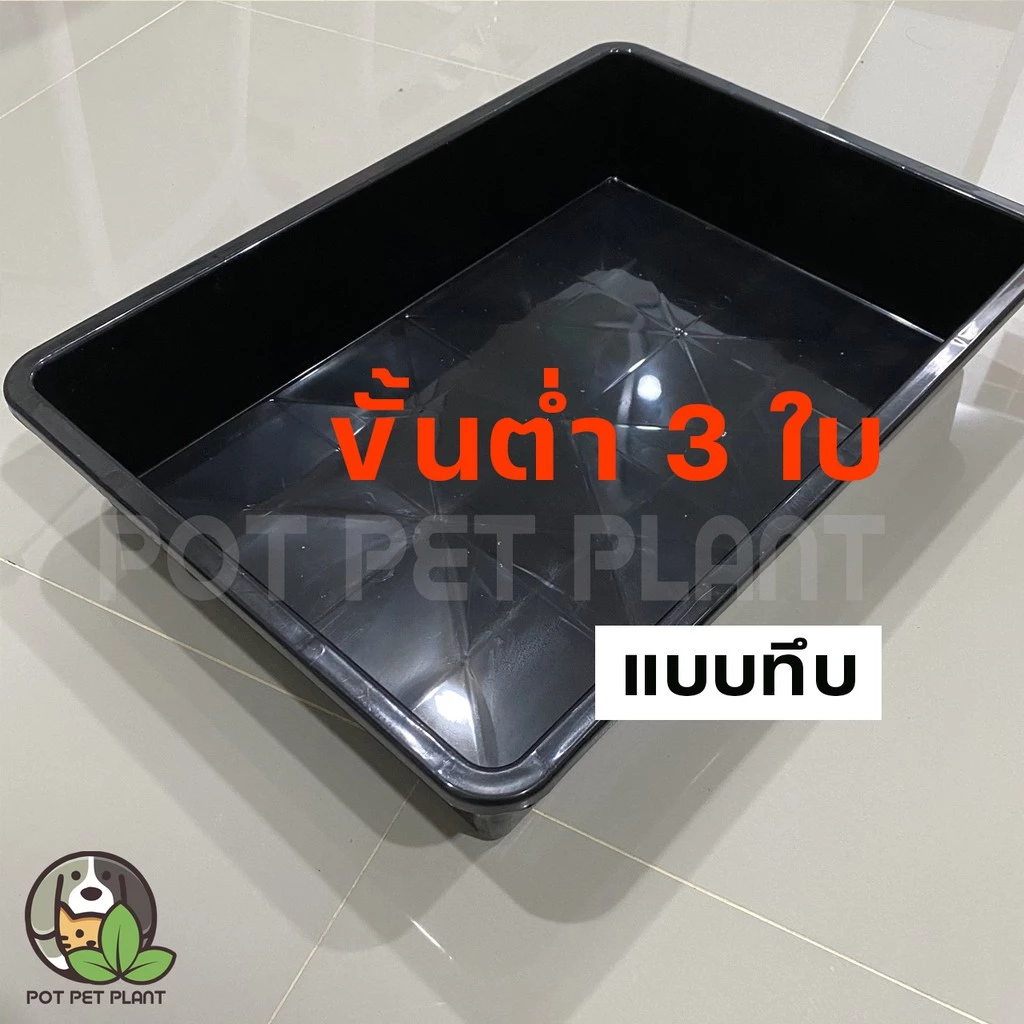 ถาดเพาะต้นอ่อน ถาดปลูกแคคตัส แบบทึบ 0257 thumbnail 5