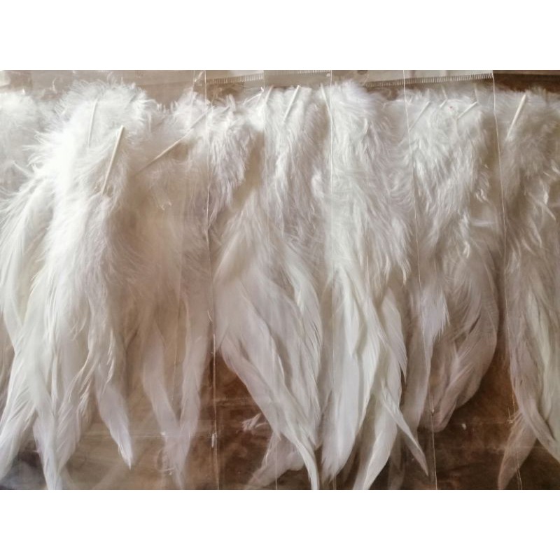 HF ขนนกสีขาวคุณภาพสูง 20 ซม. 10 ชิ้น, Bulu Ayam AAA Panjang 9 inci