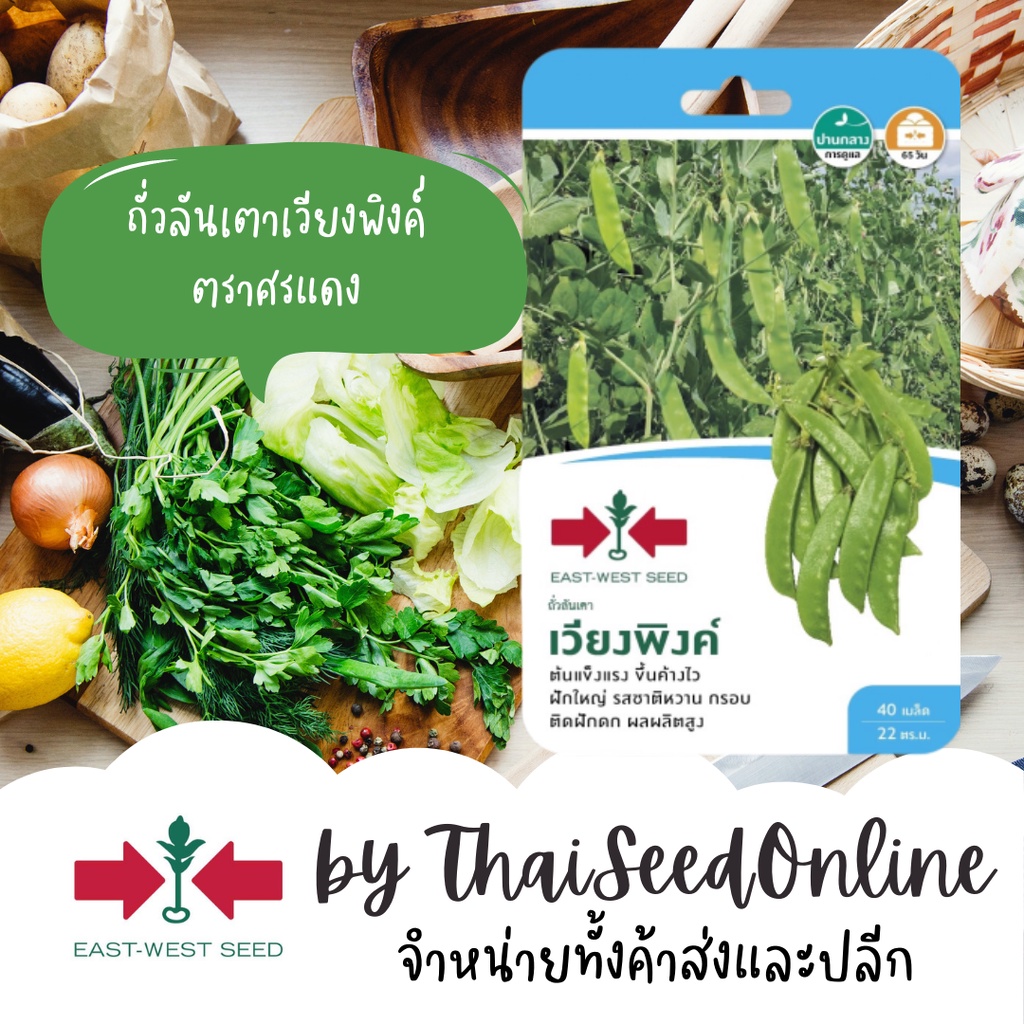 GGEW เมล็ดพันธุ์ซฟ ถั่วลันเตา เวียงพิงค์ 40 เมล็ด ตรา ศรแดง 豌豆