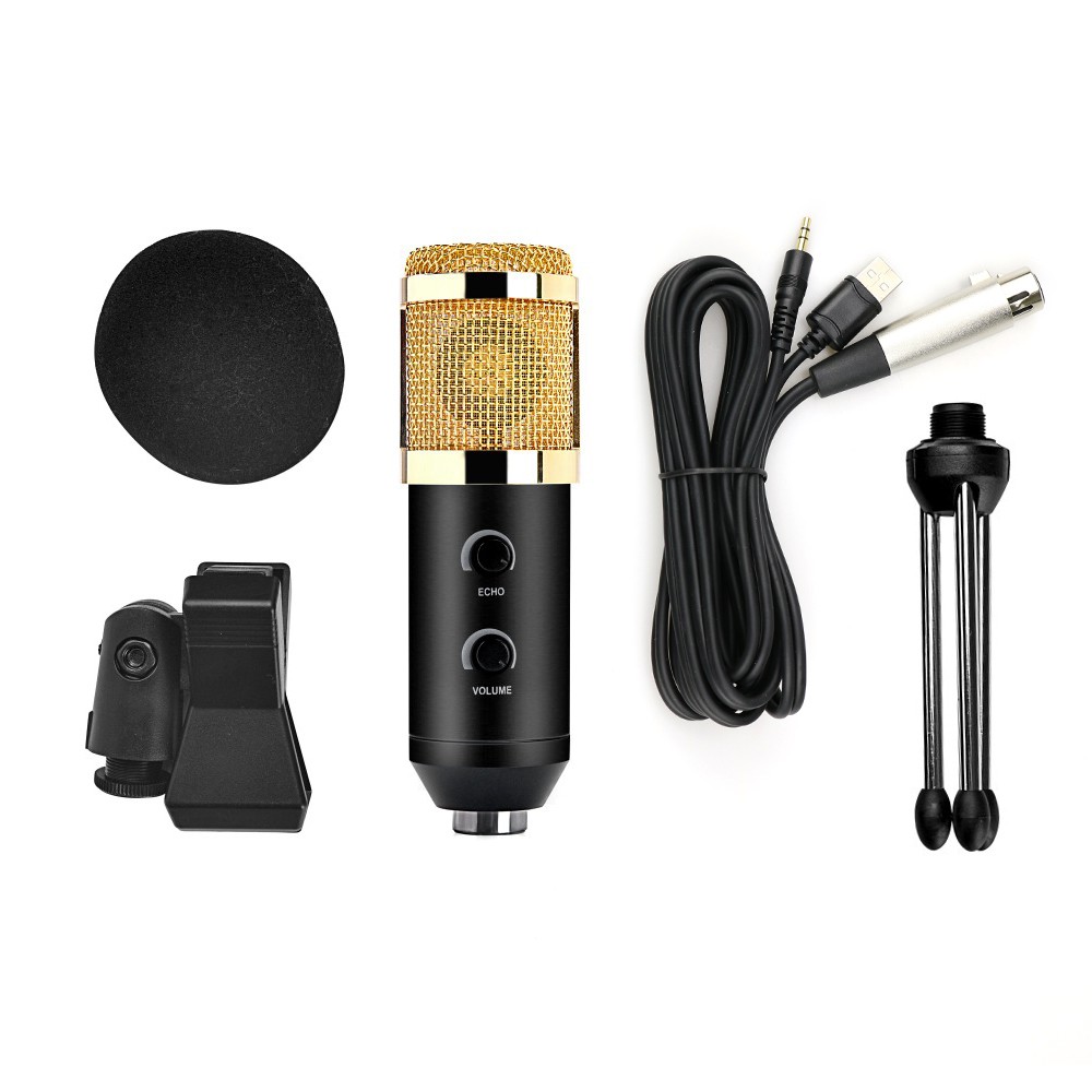 Ultra-low Noise Echo Reverb Microphone USB Condenser Microphone For ...